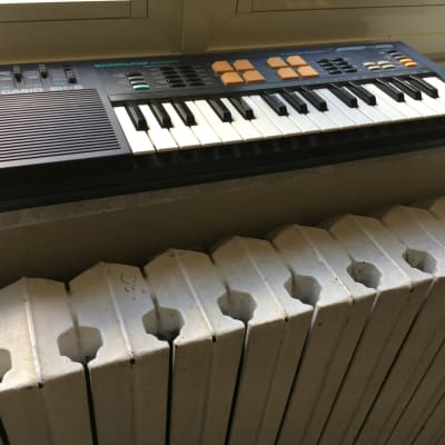 Casio SK-5 32-Key  Sampling Keyboard 1980s - Black