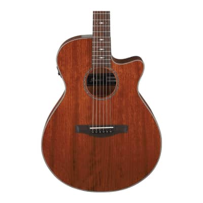 Ibanez AEG220 6-String Acoustic-Electric Guitar (Right-Hand, Natural Low Gloss) image 2
