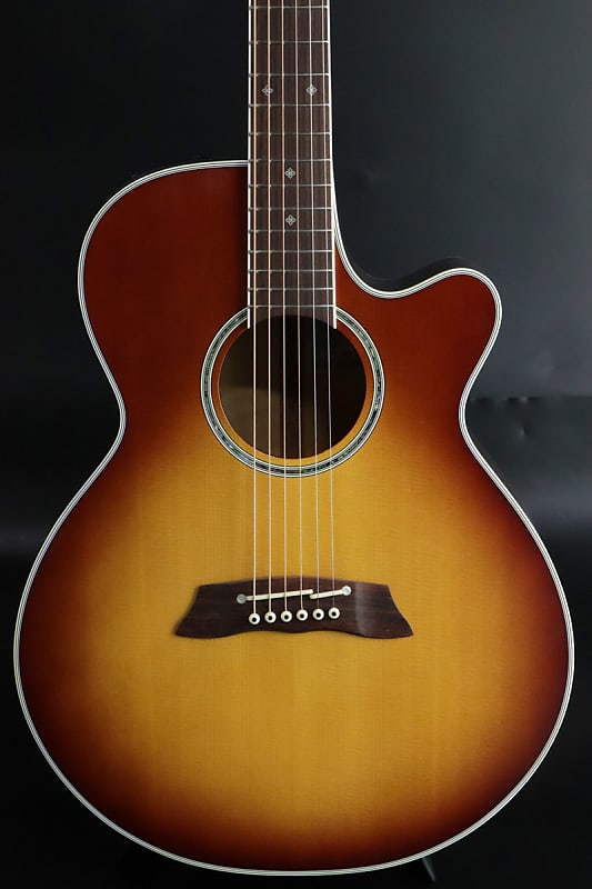 Takamine PTU110 AS - Free Shipping* | Reverb