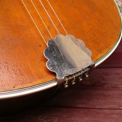 Antique Tenor guitar ca. 1920 imagen 24
