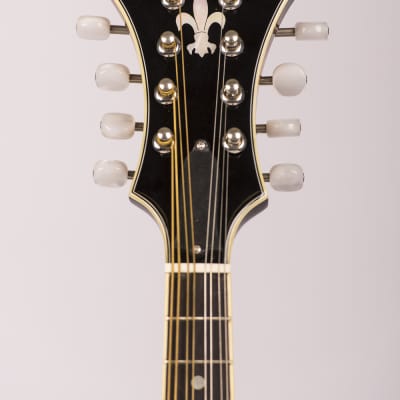 Epiphone　フラットマンドリン　Flatiron Festival F2 Gigson/Epiphone Flatiron Festival F-2 Mandolin w/Case