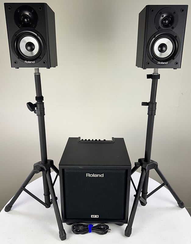 Roland CM-110 CUBE 2.1 Monitor System for Electronic