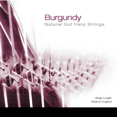 弦楽器 Burgundy Natural Gut Harp Strings Burgundy Natural Gut Harp Strings - No. 20 - 3rd Octave G