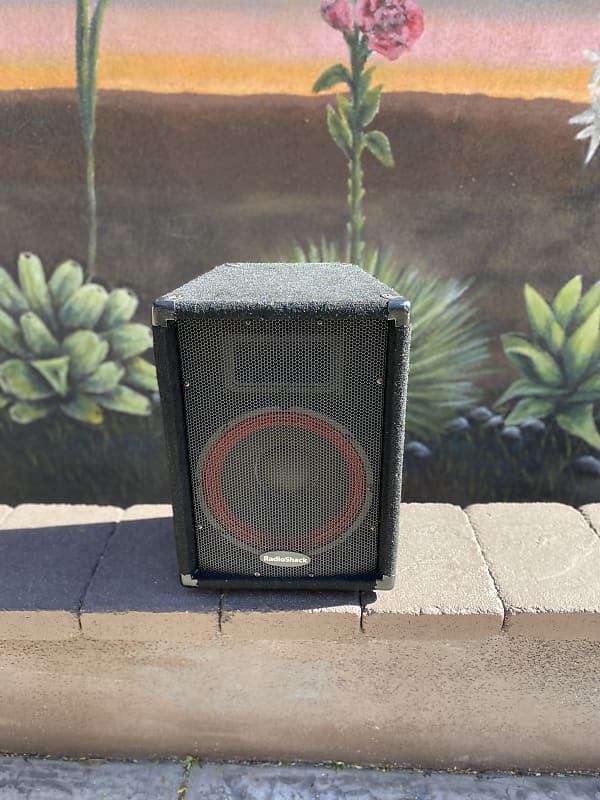 RadioShack PA Speaker Cat.40210 Reverb