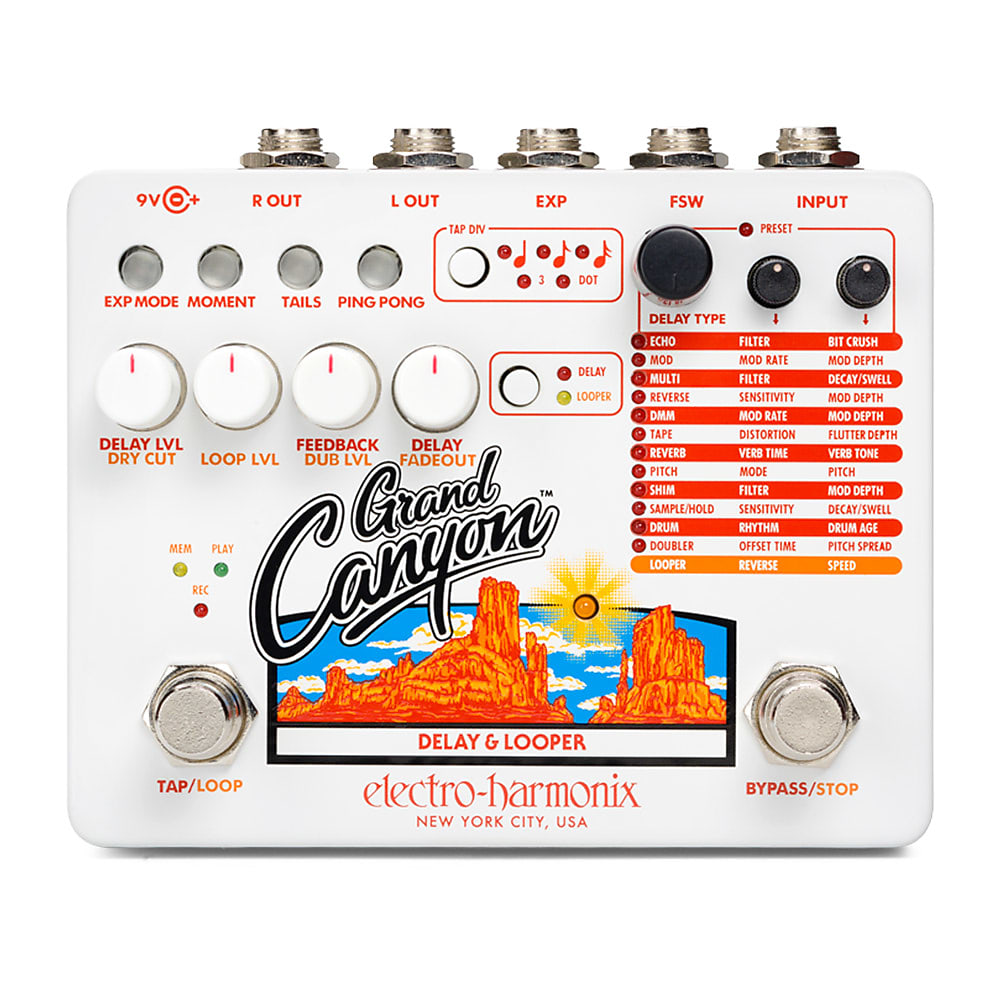 Electro-Harmonix Grand Canyon Delay and Looper | Reverb