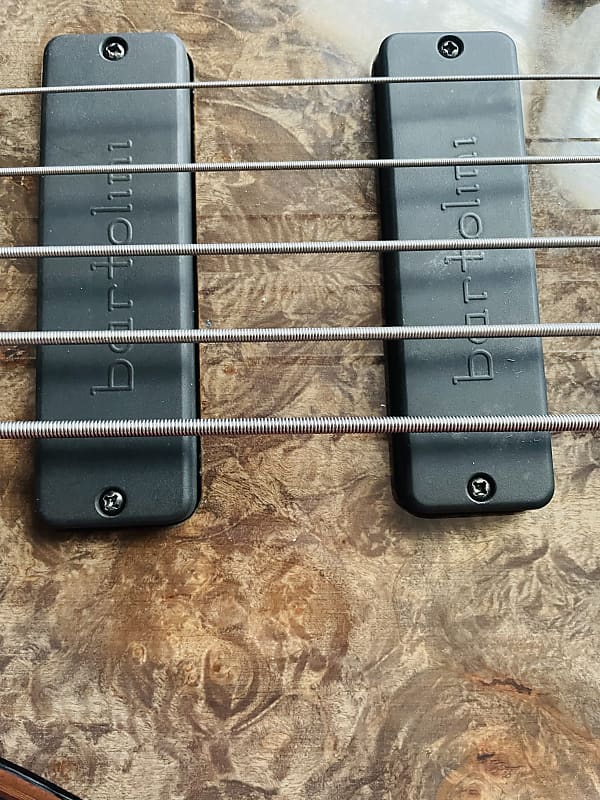 MTD Quad Coil Pickups Only ZX5 2020 Black Reverb