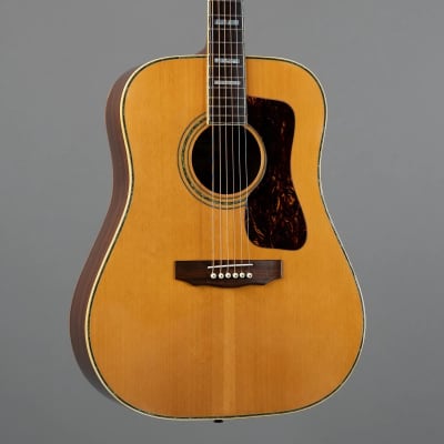 ギター Tomson Guitar Acoustic Guitar Tomson by Suzuki W-35 Solid Top Natural with