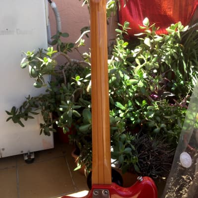Eko Manta Bass 1972 Cherry Red image 5