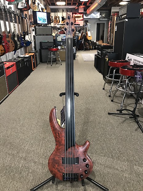 Cort Greg Curbow 5 Fretless Bass | Reverb