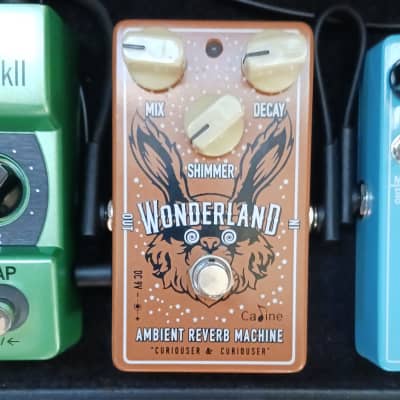 Caline CP 508 Wonderland Ambient Reverb 2021 Present Brown