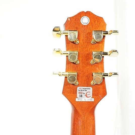 Epiphone pr200dna hot sale