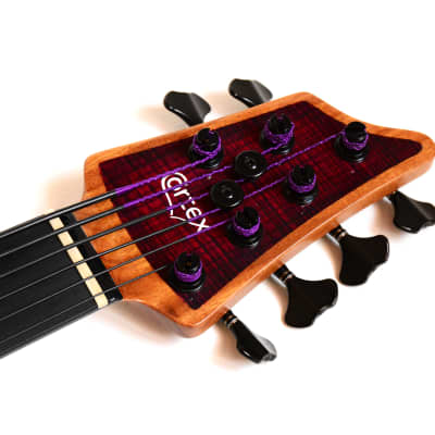 Cortex Bass Napoléon 6 String Fretless - Ash Top in Translucent Red Sunburst image 4