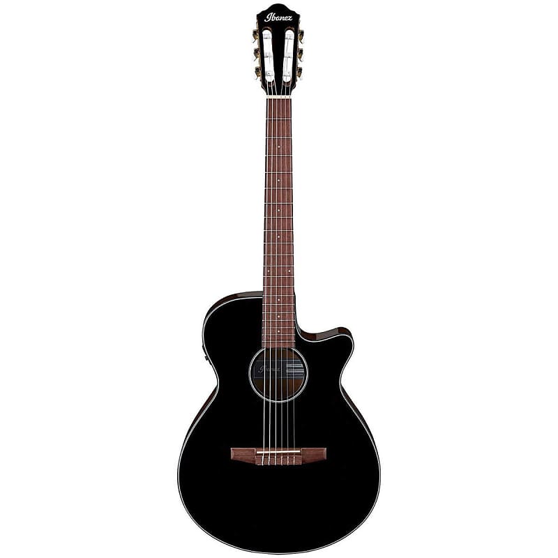 Ibanez nylon string online acoustic electric guitar