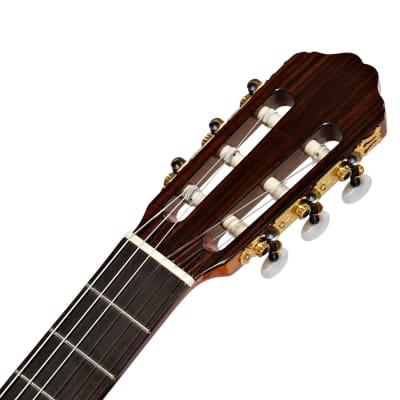 Spanish Classical Guitar VALDEZ MODEL 7 Cedar - solid top image 6