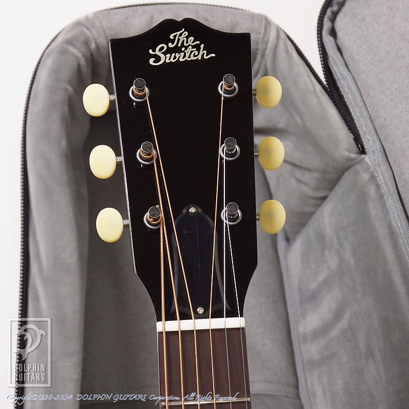 Switch Custom Guitars SL-0 Irene【Demo Video!】 | Reverb