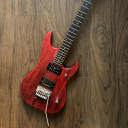 Washburn Nuno Bettencourt Signature N24 with upgrades