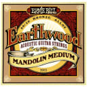 Ernie Ball 2065 Earthwood 80/20 Bronze Mandolin Strings - Medium 10-36