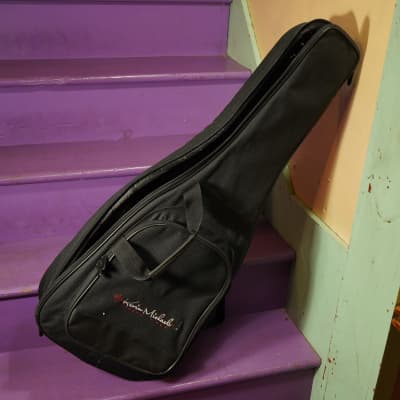 2020s Blackbird Savoy Parlor/Travel Composite/Ekoa Guitar (VIDEO! Fresh Setup, Ready to Go) image 22