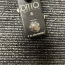 Pre-Owned TC Electronic Ditto Looper Pedal