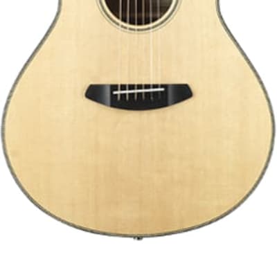 Breedlove SC25 Custom Striped Ebony/Sitka Spruce Top | Reverb