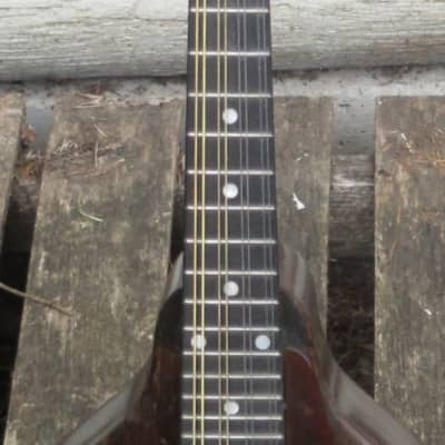 Gibson A Junior mandolin, snakehead, 1927 image 4