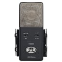 CAD Audio E100S Large Diaphragm Supercardioid Condenser Microphone,