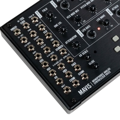 Moog Music Mavis Analog Synthesizer Kit image 7