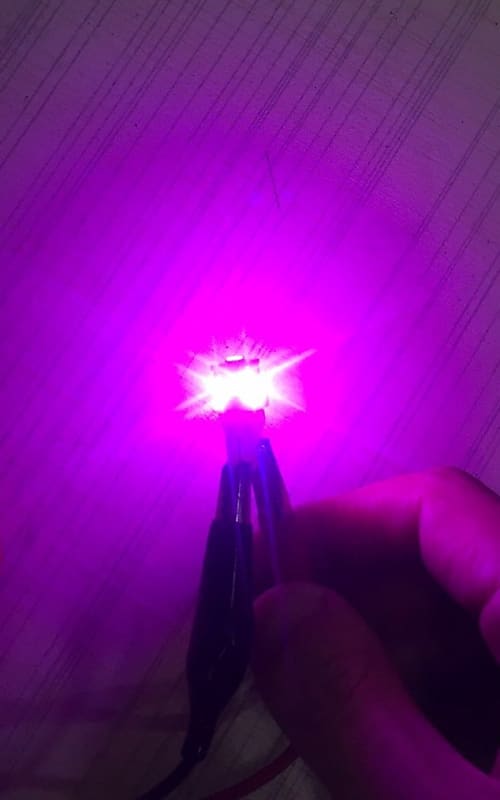 Purple 8V-LED wedge lamps (Buy(4)get(4)FREE)Pioneer Sx Models image 1