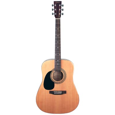 Johnson JG-650-TBL Thinbody Acoustic Guitar with Pickup, Blueburst