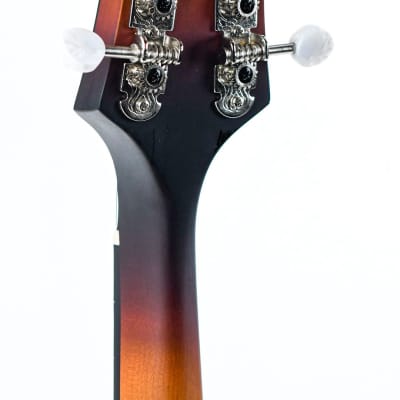 Eastman MD305E Sunburst image 6