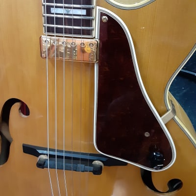 Greco NV-130 Prototype Archtop Electric image 8