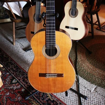 Darren Hippner Fleta 2009 - Cedar/ Indian rosewood. 650mm/52mm image 7
