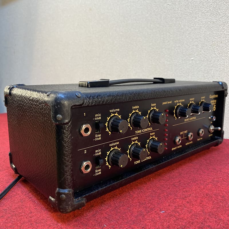 1979 Guyatone Analog echo AE-5 - Better than a Roland DC-20? You be the  judge.