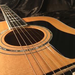 Guild D60 Maple Back "90s Westerly Wonder" Rare Bird  Acoustic Electric Top of the Line Model image 17