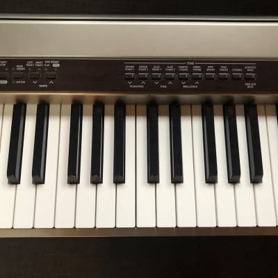 Casio Privia PX-110 88 key Mid 00's Grey/wood accents | Reverb
