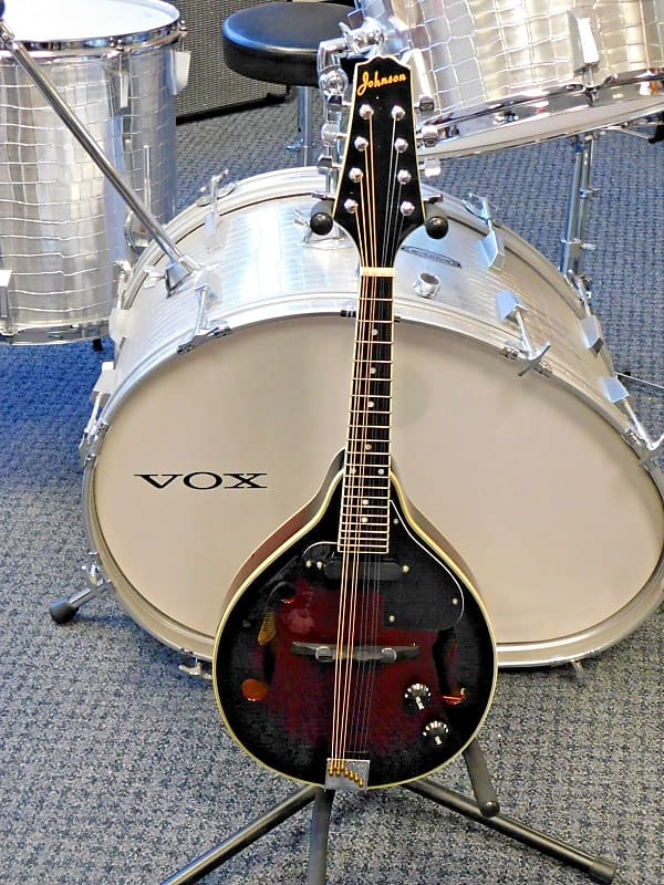 Johnson MA115E A Model Electric Mandolin with case WOW! Reverb