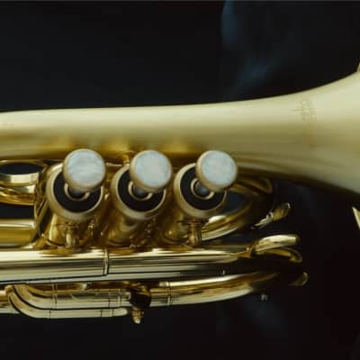 Satin Lacquer ACB Doubler's Large Bell Pocket Trumpet! image 2