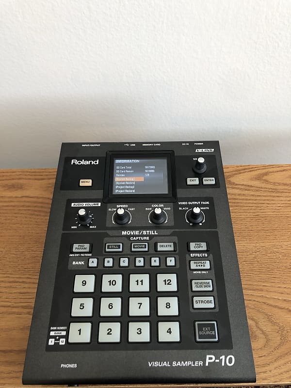 (希少)Roland EDIROL P-10 Visual Sampler Roland Pro A/V - P-10 | Visual Sampler