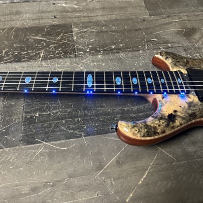 Alembic Darling Buckeye Burl with Denim Lapis ovals 2023 we are Alembic Dealers Brand New ! image 11