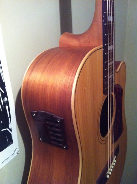 Cole Clark FL2AC Bunya Blackwood | Reverb