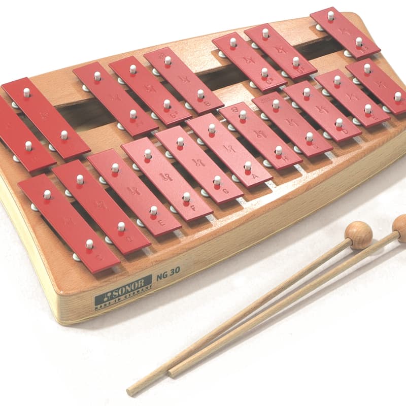 Instrument de percussion, carillon à vent en bois composite professionnel  12 touches dorées pour salle de classe : : Instruments de musique,  scène et studio