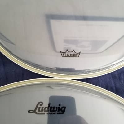 Remo Ambassador and Emperor Clear with Ludwig Logo 2017 Clear image 2