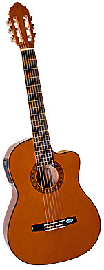 超特価激安 Valencia VG-180CE Student Acoustic-Electric Cutaway その他