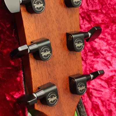 Taylor 324ce Grand Auditorium Mahogany/Blackwood Cutaway Acoustic/Electric with V-Class Bracing image 18