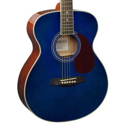 Brunswick BF200 Acoustic Guitar - Blue for sale