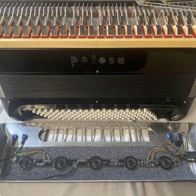 Petosa AM-1000 Leggera LMMH Harmonik mics 19-1/4” 2018 - Black gloss - Limex Bass image 15