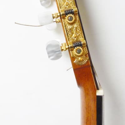 R.J. DiCarlo Master Craft Custom SpanishClassical Guitar w/ Case image 7