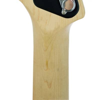 Peavey Peavey Raptor Custom Sky Blue SSS Electric Guitar with Rosewood Fretboard image 5