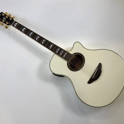 Yamaha APX1000 Pearl Snow White image 8