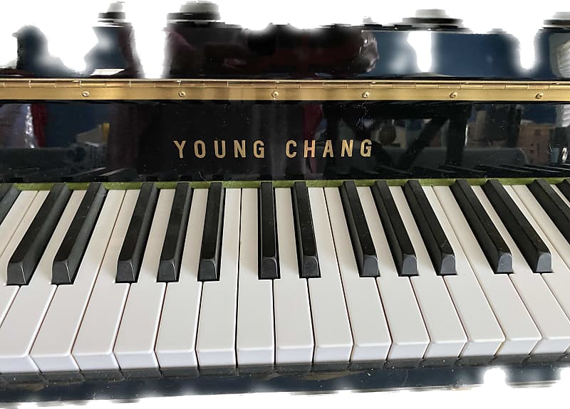 Young Chang UPRIGHT 2015 - Black image 1